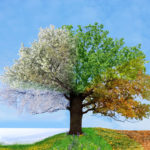 Nature renewal